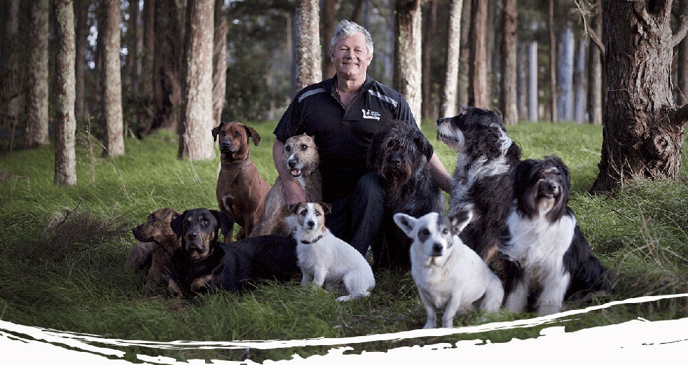 Virtual Dog School