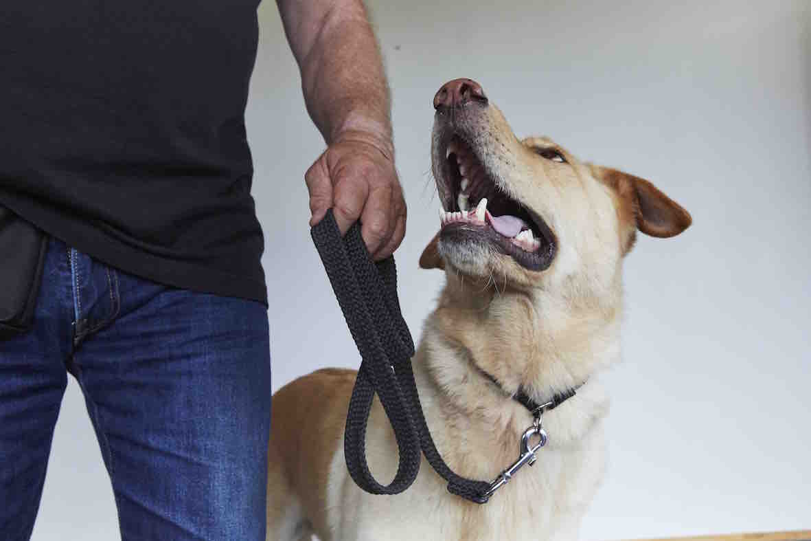 Safety Slip Collar