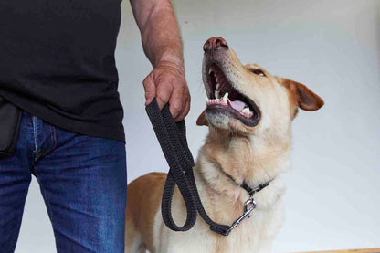 Safety Slip Collar